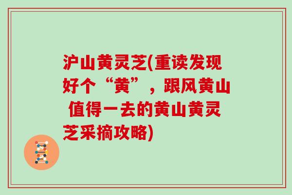 沪山黄灵芝(重读发现好个“黄”，跟风黄山 值得一去的黄山黄灵芝采摘攻略)