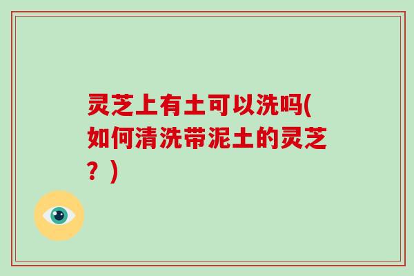 灵芝上有土可以洗吗(如何清洗带泥土的灵芝？)