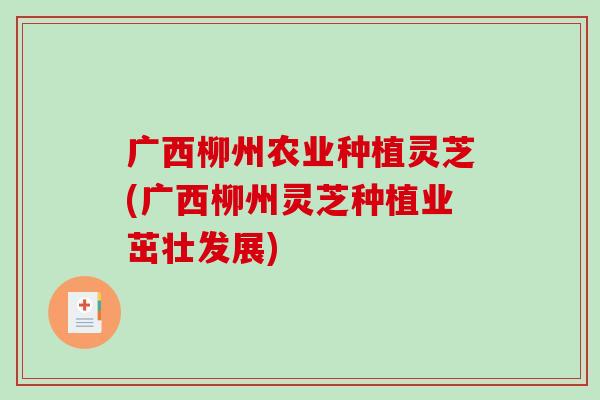 广西柳州农业种植灵芝(广西柳州灵芝种植业茁壮发展)