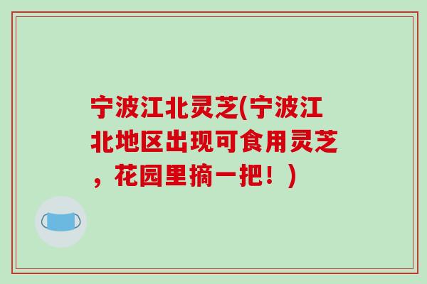 宁波江北灵芝(宁波江北地区出现可食用灵芝，花园里摘一把！)