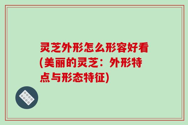 灵芝外形怎么形容好看(美丽的灵芝：外形特点与形态特征)
