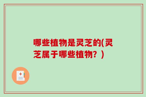 哪些植物是灵芝的(灵芝属于哪些植物？)