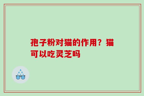 孢子粉对猫的作用？猫可以吃灵芝吗