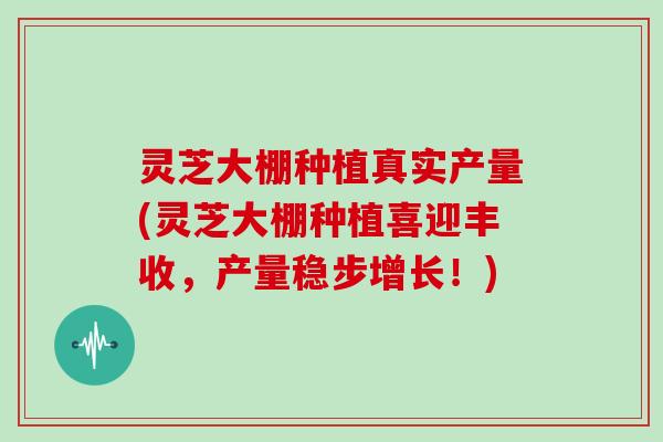 灵芝大棚种植真实产量(灵芝大棚种植喜迎丰收，产量稳步增长！)
