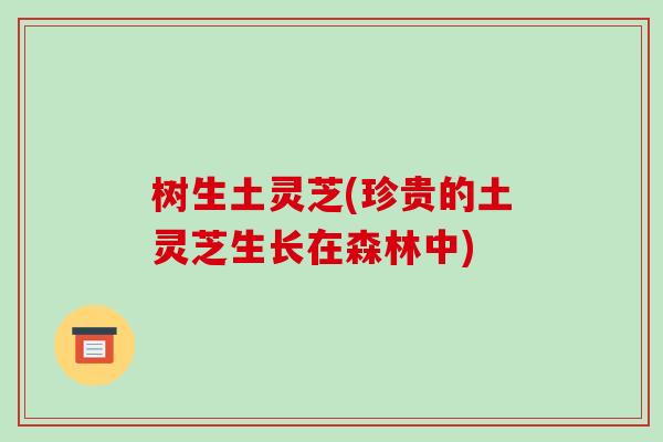 树生土灵芝(珍贵的土灵芝生长在森林中)