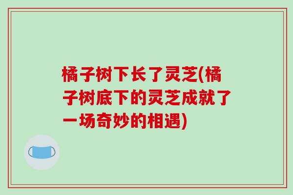 橘子树下长了灵芝(橘子树底下的灵芝成就了一场奇妙的相遇)