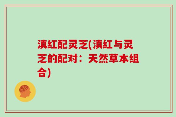滇红配灵芝(滇红与灵芝的配对：天然草本组合)