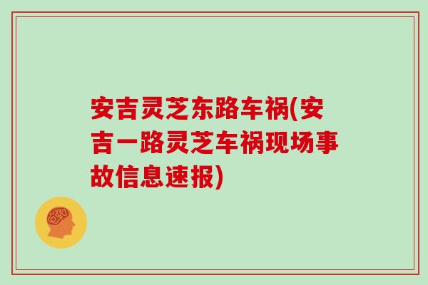 安吉灵芝东路车祸(安吉一路灵芝车祸现场事故信息速报)