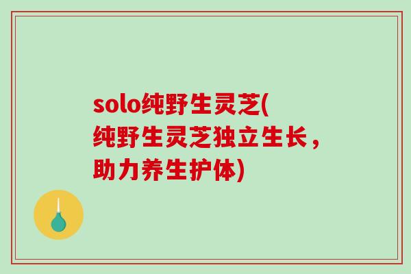 solo纯野生灵芝(纯野生灵芝独立生长，助力养生护体)