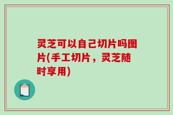 灵芝可以自己切片吗图片(手工切片，灵芝随时享用)