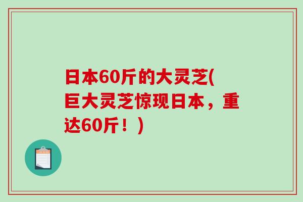 日本60斤的大灵芝(巨大灵芝惊现日本，重达60斤！)
