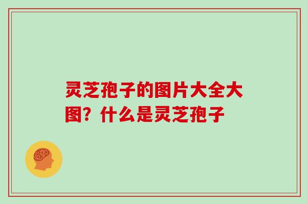 灵芝孢子的图片大全大图？什么是灵芝孢子