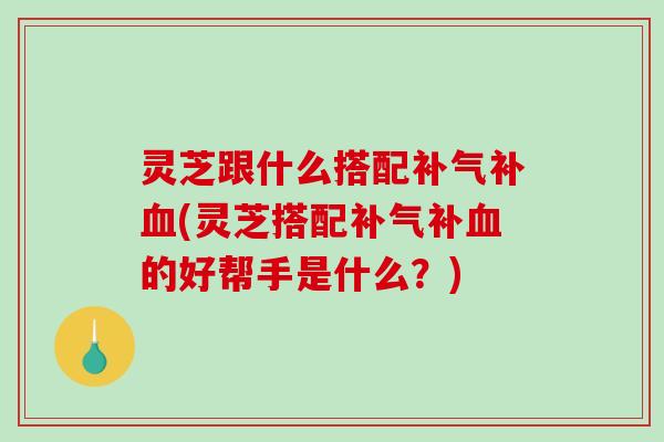 灵芝跟什么搭配补(灵芝搭配补的好帮手是什么？)
