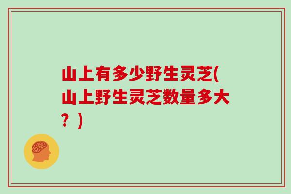 山上有多少野生灵芝(山上野生灵芝数量多大？)