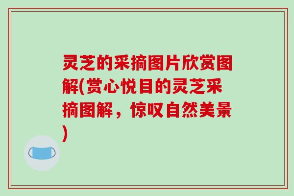 灵芝的采摘图片欣赏图解(赏心悦目的灵芝采摘图解，惊叹自然美景)