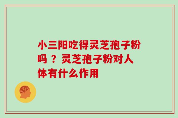 小三阳吃得灵芝孢子粉吗 ？灵芝孢子粉对人体有什么作用