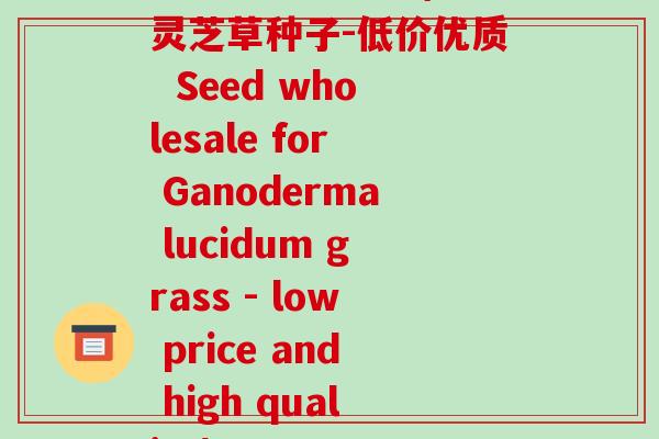 灵芝草种子批发(批发灵芝草种子-低价优质  Seed wholesale for Ganoderma lucidum grass - low price and high quality)