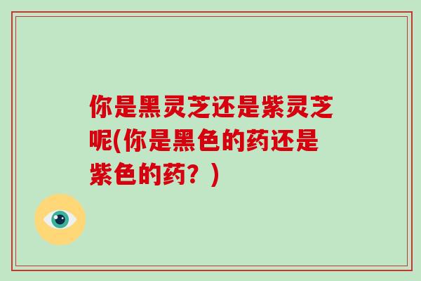 你是黑灵芝还是紫灵芝呢(你是黑色的药还是紫色的药？)