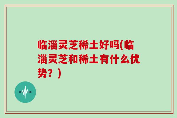 临淄灵芝稀土好吗(临淄灵芝和稀土有什么优势？)