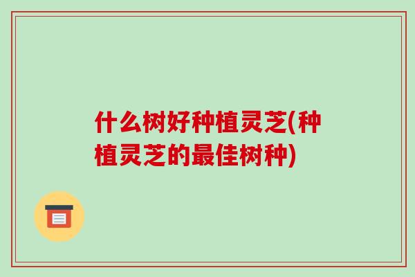 什么树好种植灵芝(种植灵芝的佳树种)