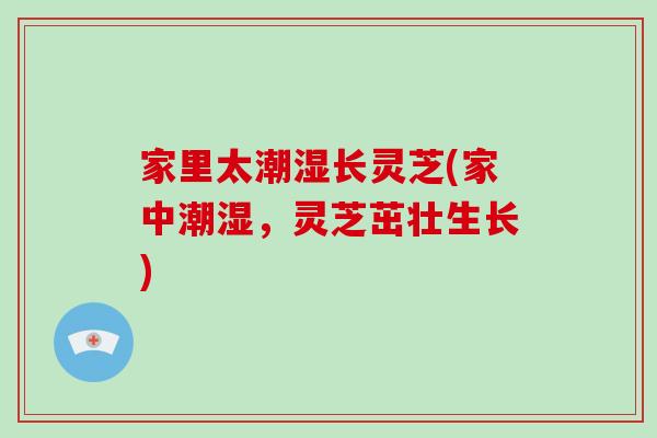 家里太潮湿长灵芝(家中潮湿，灵芝茁壮生长)