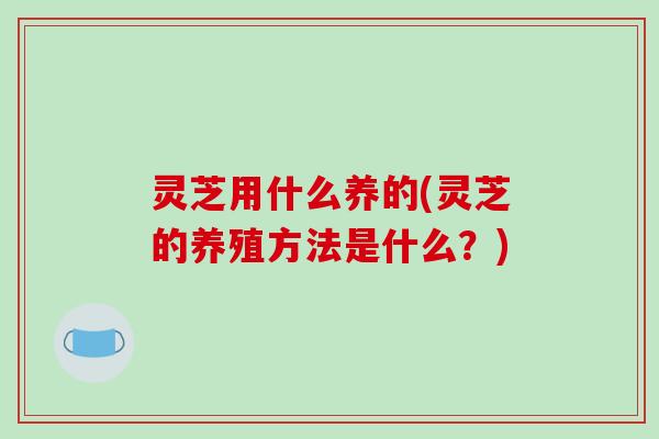 灵芝用什么养的(灵芝的养殖方法是什么？)