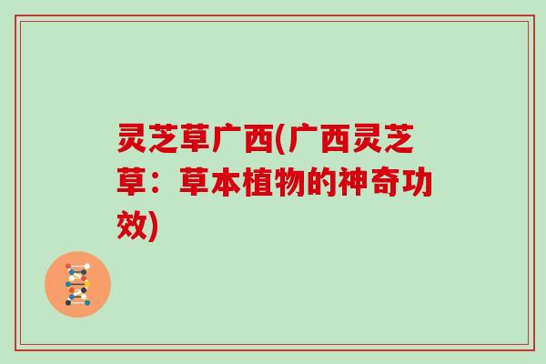 灵芝草广西(广西灵芝草：草本植物的神奇功效)