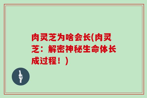 肉灵芝为啥会长(肉灵芝：解密神秘生命体长成过程！)