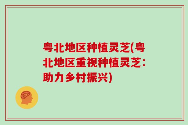 粤北地区种植灵芝(粤北地区重视种植灵芝：助力乡村振兴)