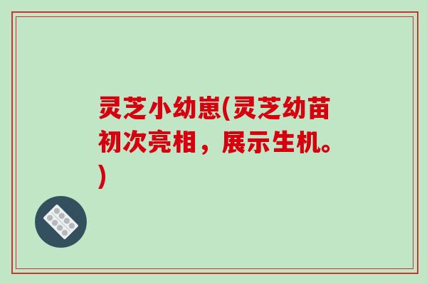 灵芝小幼崽(灵芝幼苗初次亮相，展示生机。)