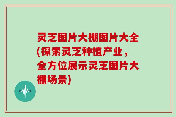 灵芝图片大棚图片大全(探索灵芝种植产业，全方位展示灵芝图片大棚场景)