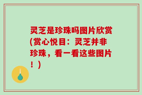 灵芝是珍珠吗图片欣赏(赏心悦目：灵芝并非珍珠，看一看这些图片！)