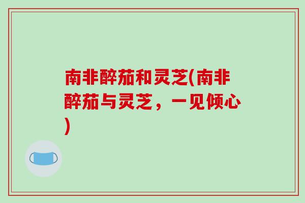南非醉茄和灵芝(南非醉茄与灵芝，一见倾心)