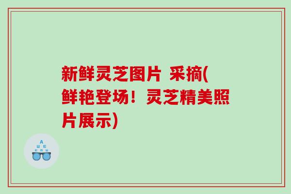 新鲜灵芝图片 采摘(鲜艳登场！灵芝精美照片展示)