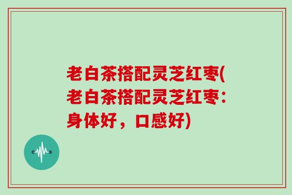 老白茶搭配灵芝红枣(老白茶搭配灵芝红枣：身体好，口感好)