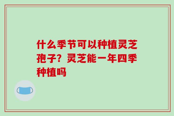 什么季节可以种植灵芝孢子？灵芝能一年四季种植吗