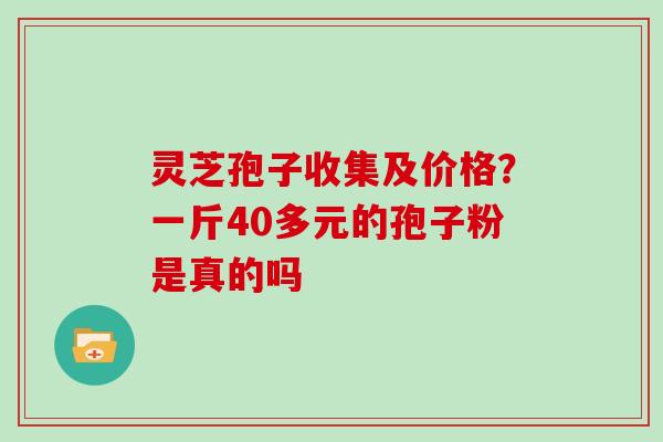 灵芝孢子收集及价格？一斤40多元的孢子粉是真的吗