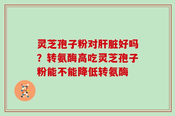 灵芝孢子粉对好吗？转氨酶高吃灵芝孢子粉能不能降低转氨酶