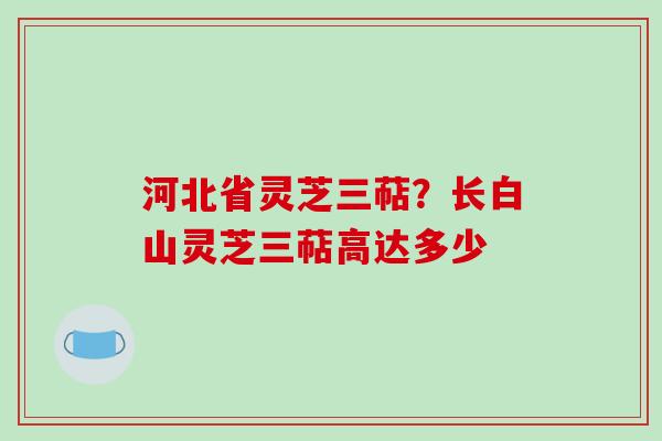 河北省灵芝三萜？长白山灵芝三萜高达多少