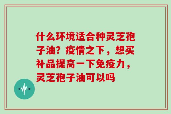 什么环境适合种灵芝孢子油？疫情之下，想买补品提高一下免疫力，灵芝孢子油可以吗