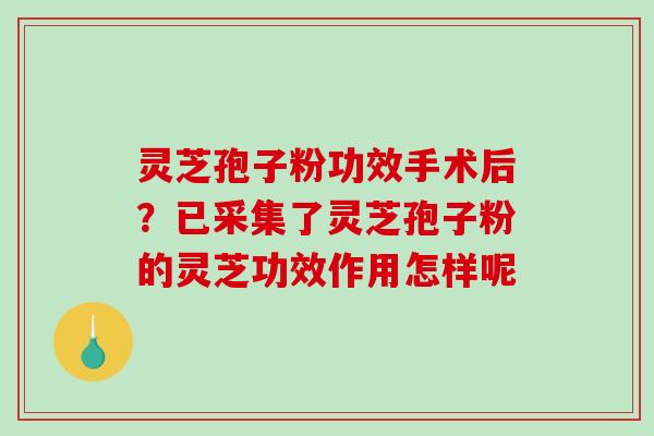灵芝孢子粉功效手术后？已采集了灵芝孢子粉的灵芝功效作用怎样呢