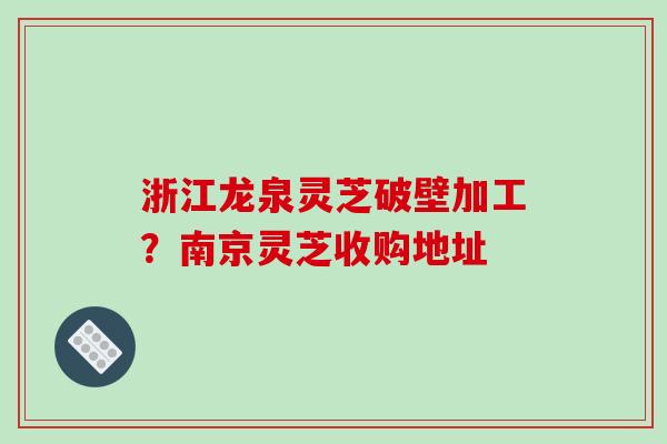 浙江龙泉灵芝破壁加工？南京灵芝收购地址