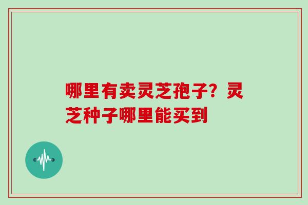 哪里有卖灵芝孢子？灵芝种子哪里能买到