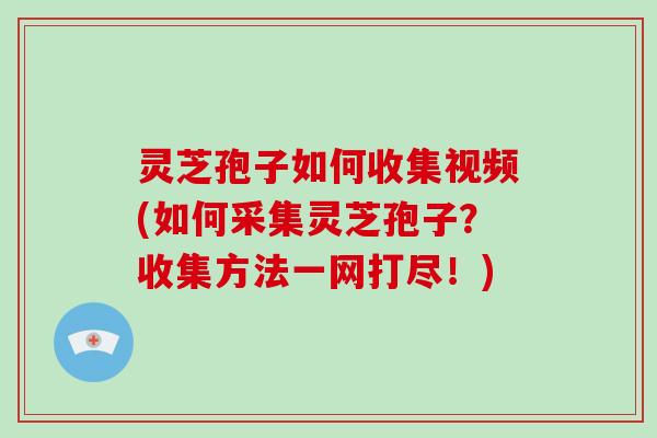 灵芝孢子如何收集视频(如何采集灵芝孢子？收集方法一网打尽！)