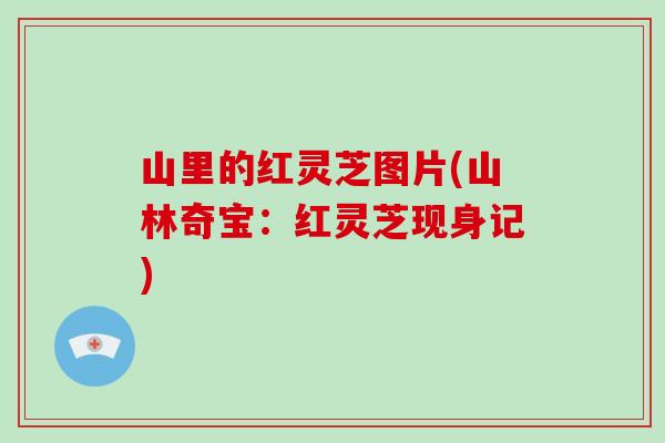 山里的红灵芝图片(山林奇宝：红灵芝现身记)