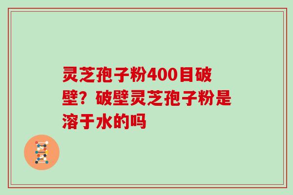 灵芝孢子粉400目破壁？破壁灵芝孢子粉是溶于水的吗