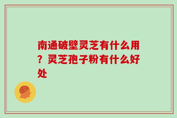 南通破壁灵芝有什么用？灵芝孢子粉有什么好处