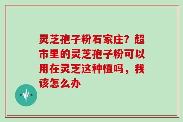 灵芝孢子粉石家庄？超市里的灵芝孢子粉可以用在灵芝这种植吗，我该怎么办