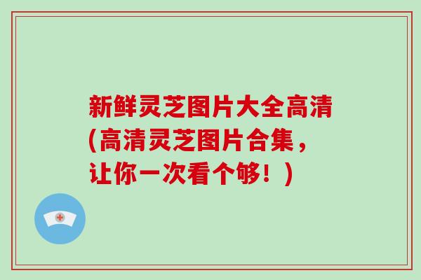 新鲜灵芝图片大全高清(高清灵芝图片合集，让你一次看个够！)
