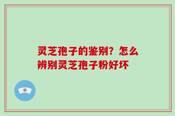 灵芝孢子的鉴别？怎么辨别灵芝孢子粉好坏